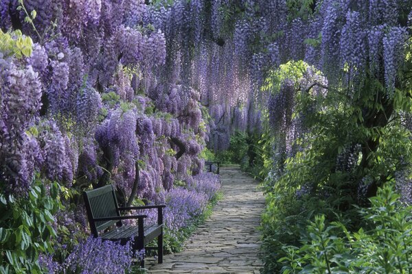 Ein Weg in Paare mit Blumen