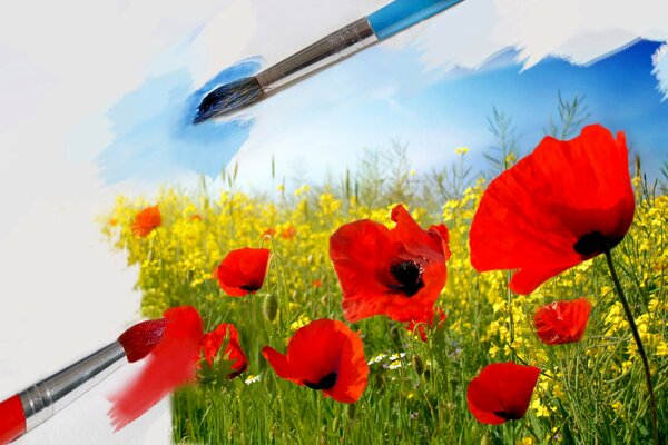 Art field with red poppies on white paper