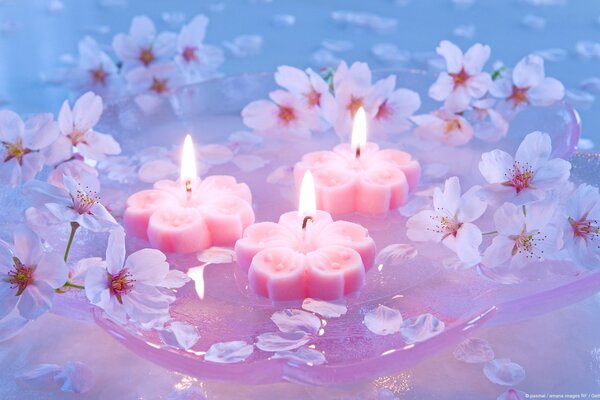 Cute pink candles in the form of flowers