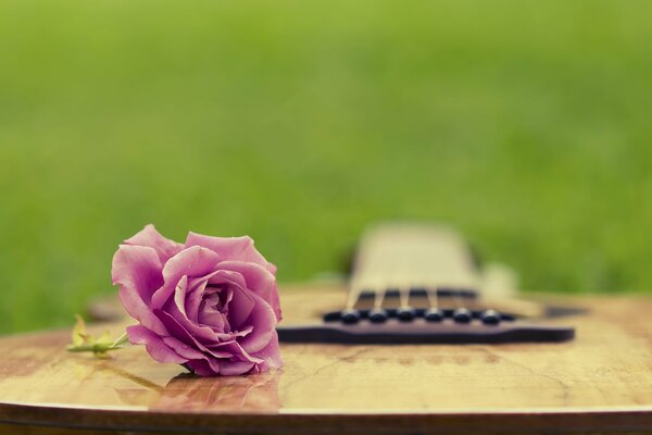 Pink Rose on guitar