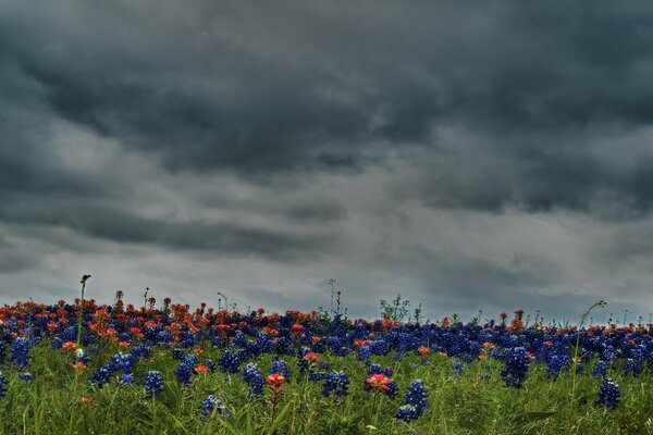 There was a chill in the meadow