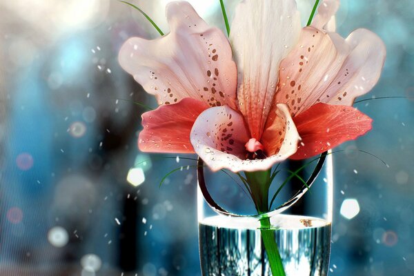 Flor rosa en un vaso de agua