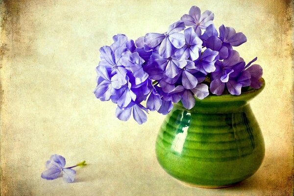 Green vase with purple flowers