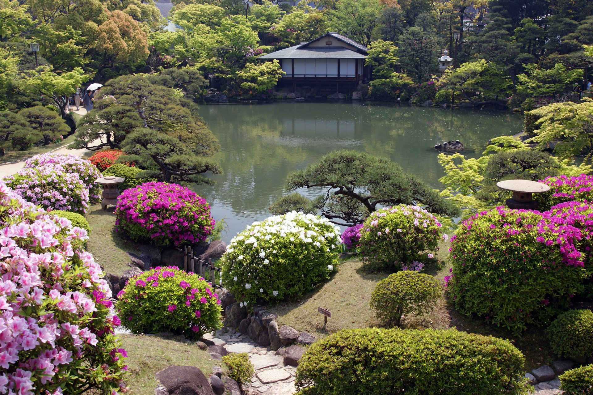 fleurs jardin japonais maison