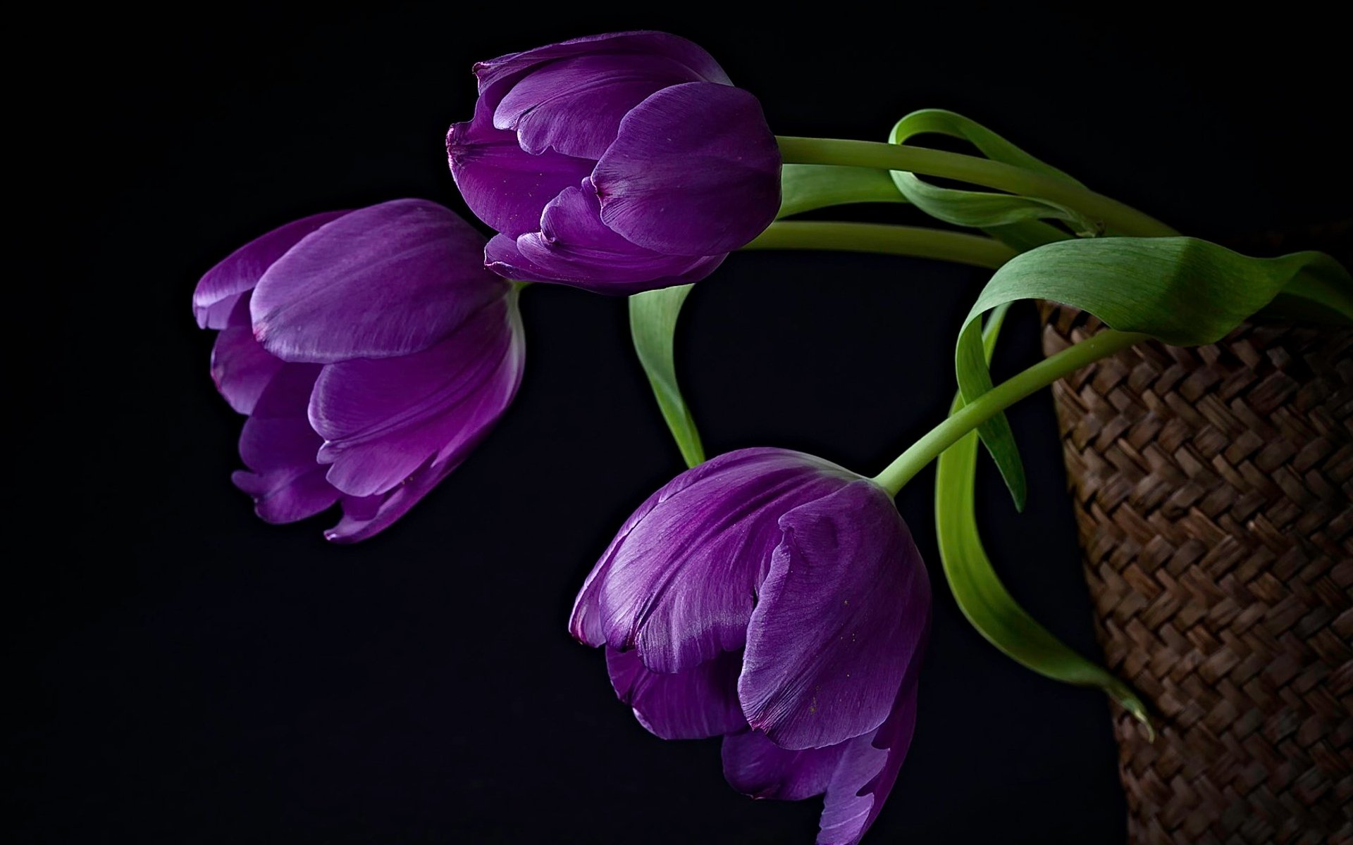 tulipanes flores cesta arreglo