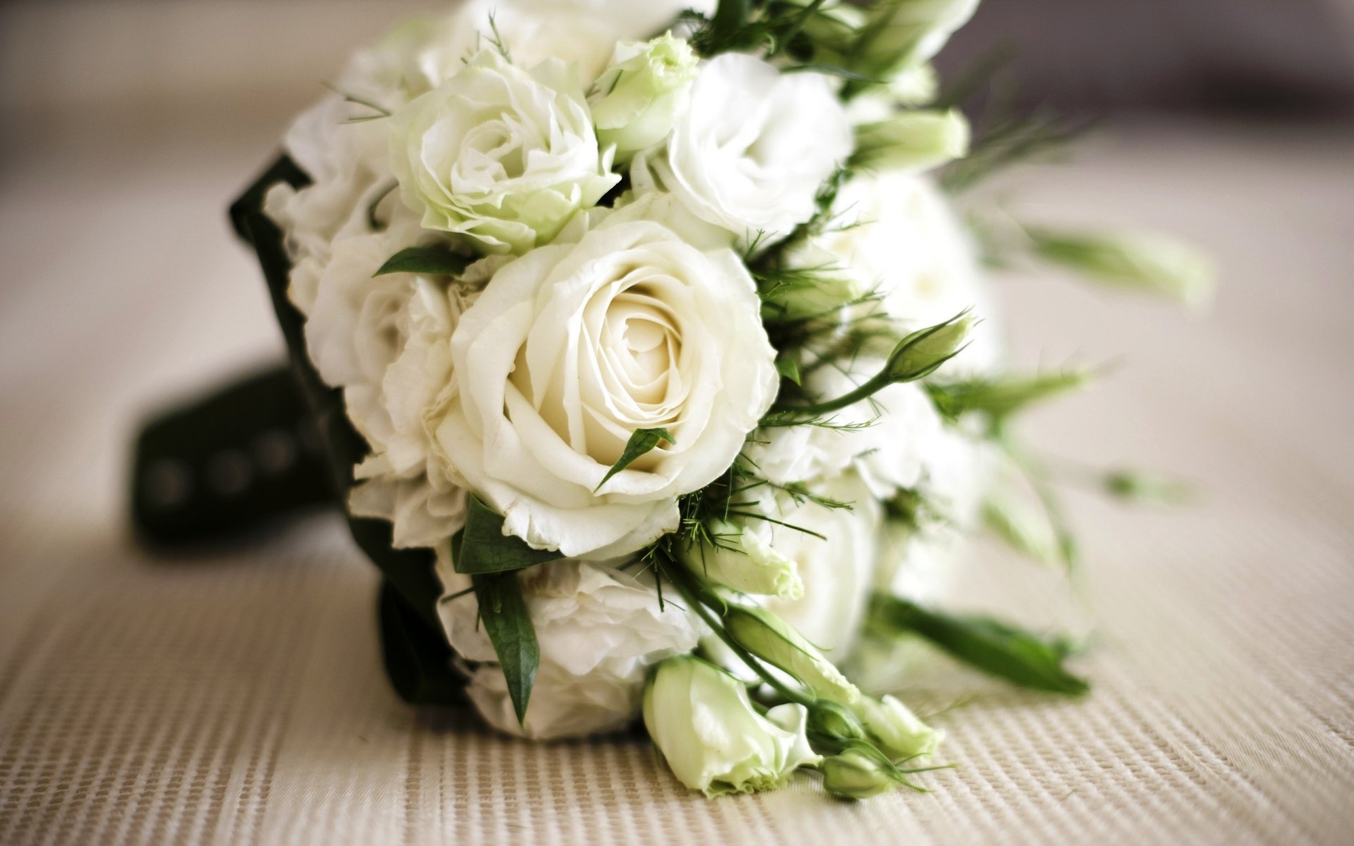 roses blanc bouquet