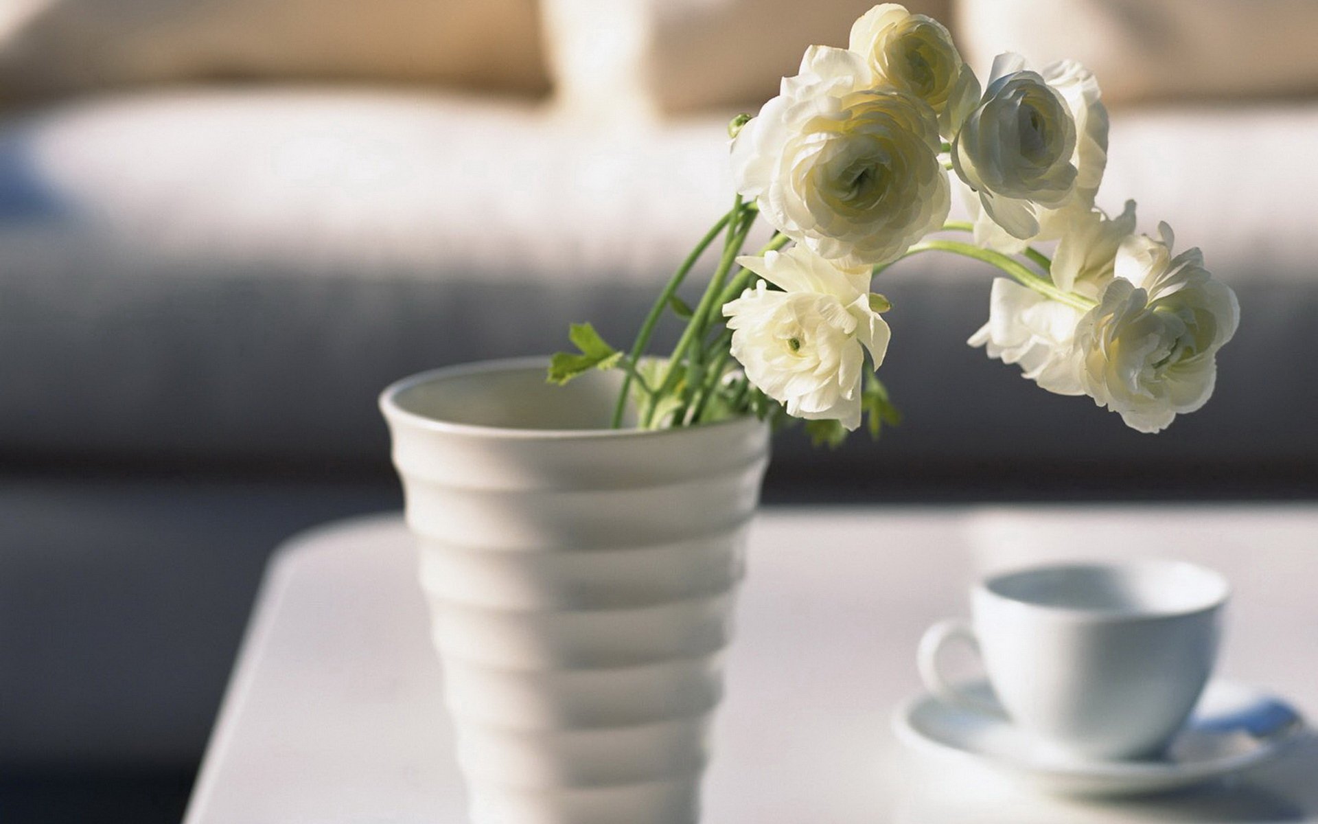 blumen rosen vase tasse morgen stimmung schönheit hintergrundbilder foto