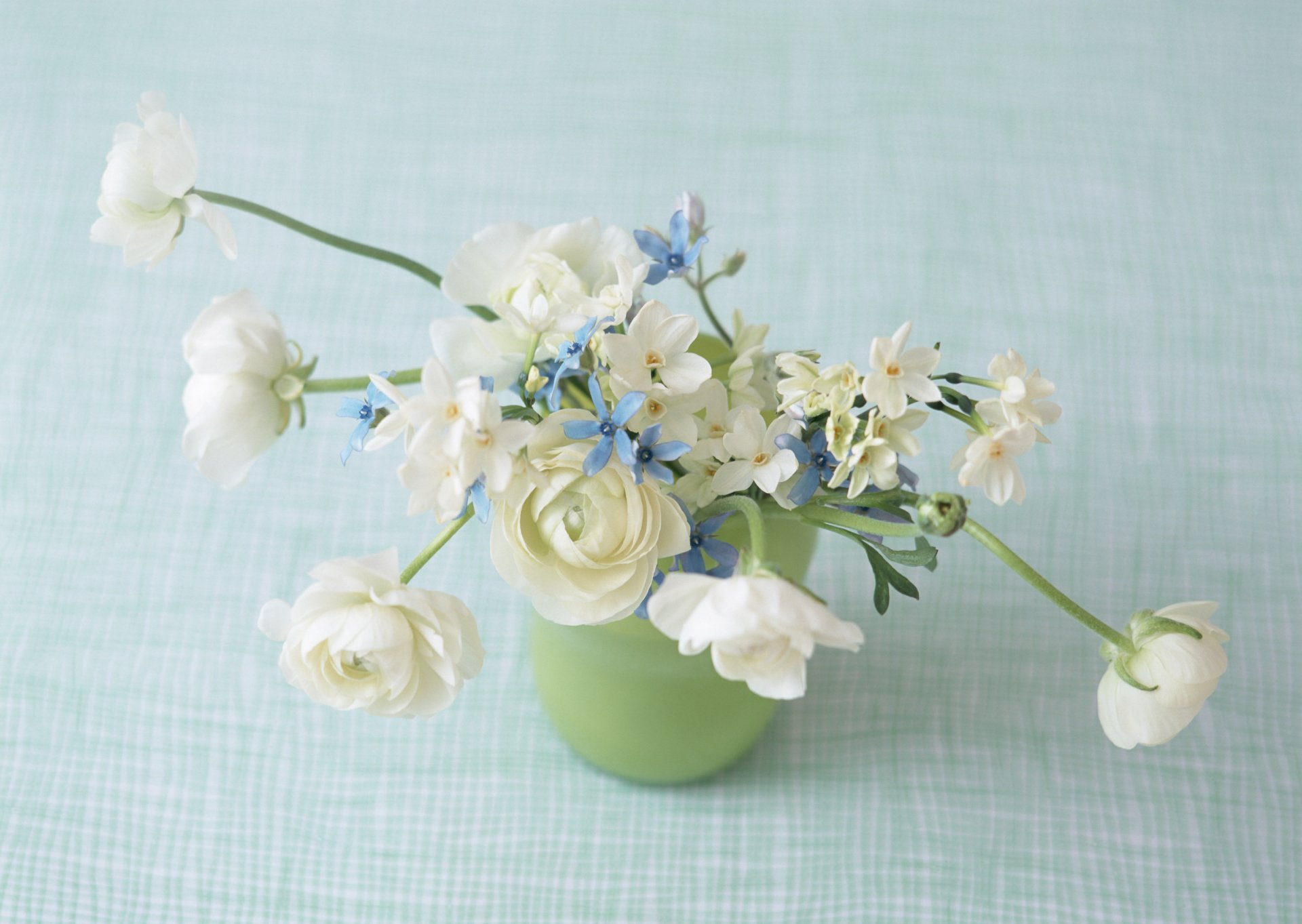 flower flowers in a vase gentle composition