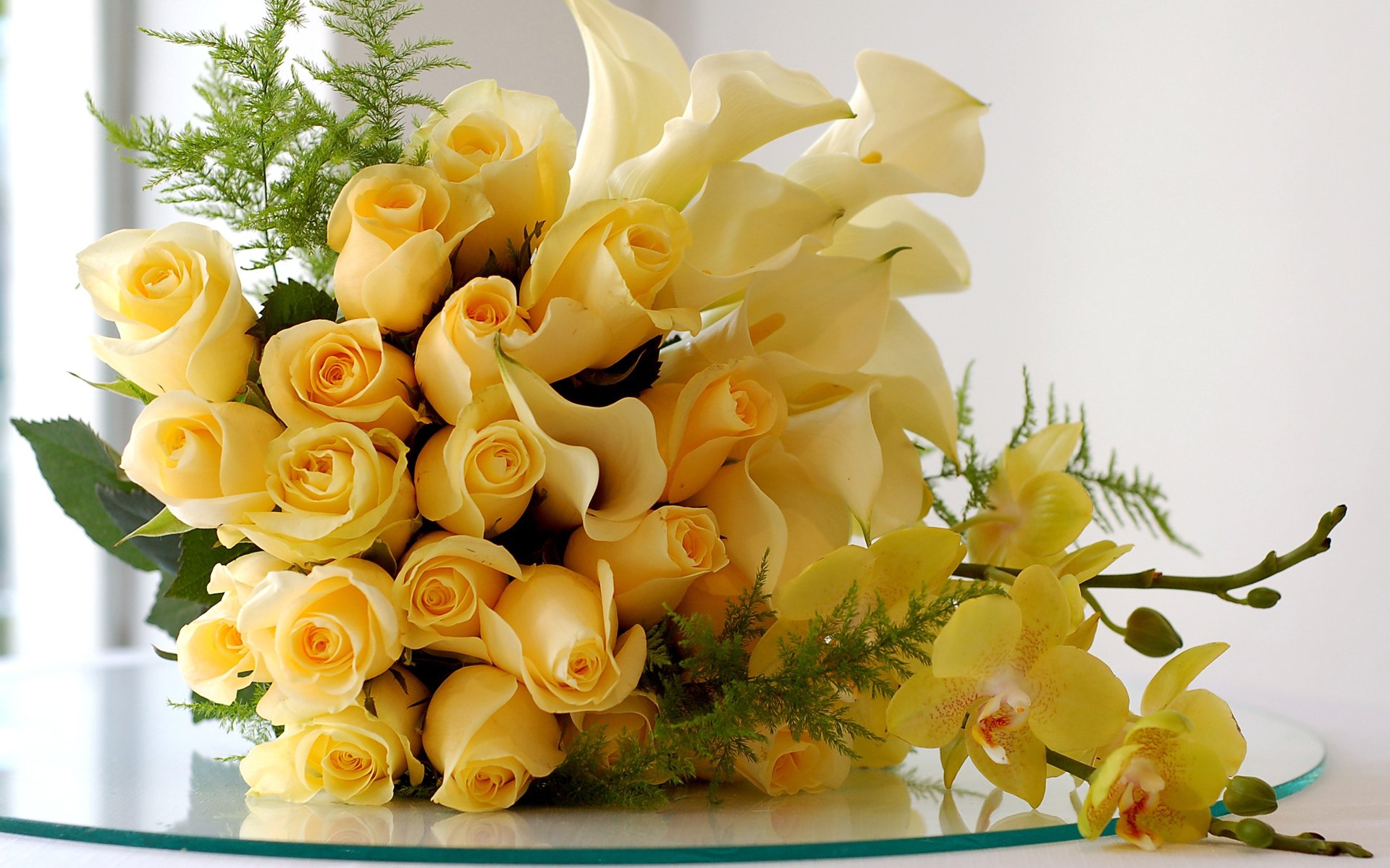 bouquet roses vacances blanc cadeau