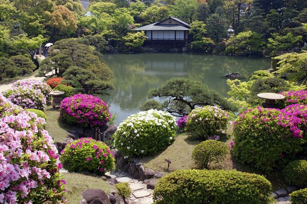 Lago tranquillo in un giardino giapponese