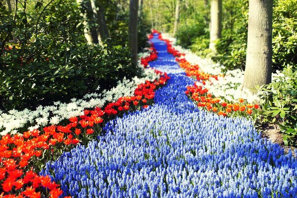 Eine Straße im Wald, die voller Blumen duftet