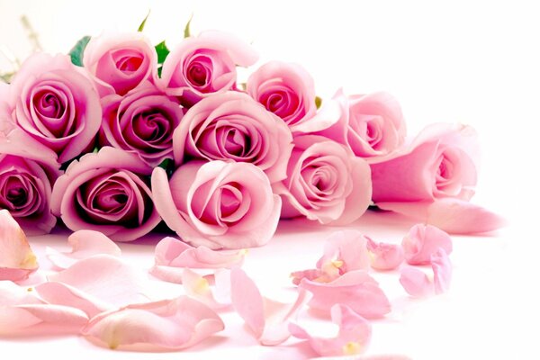 Букет нежных розовых роз