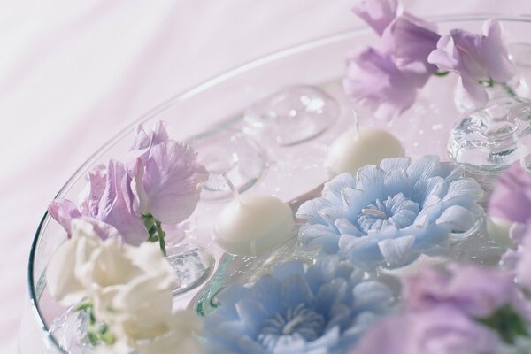 Diferentes flores en un plato de agua