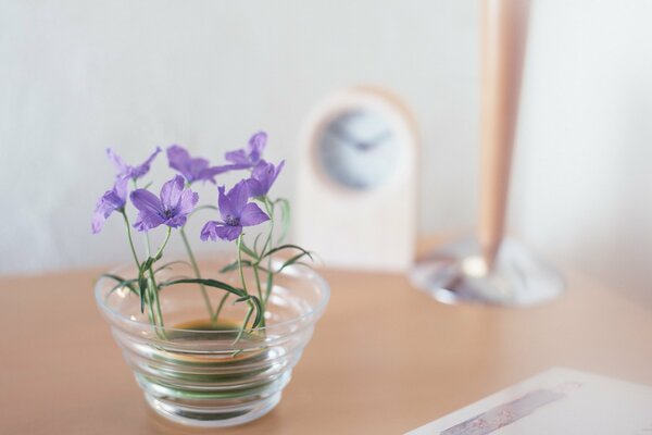 Pequeñas flores púrpuras en un jarrón