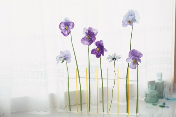 Composition de fleurs dans un vase en verre