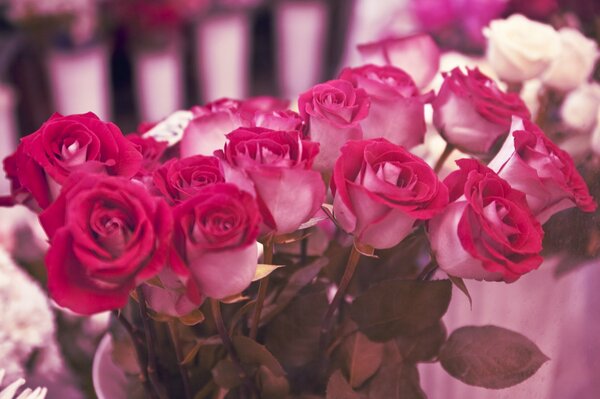 Fiori di rosa grande regalo