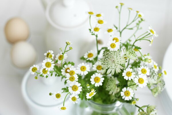 Weiße Gänseblümchen Bouquet Foto