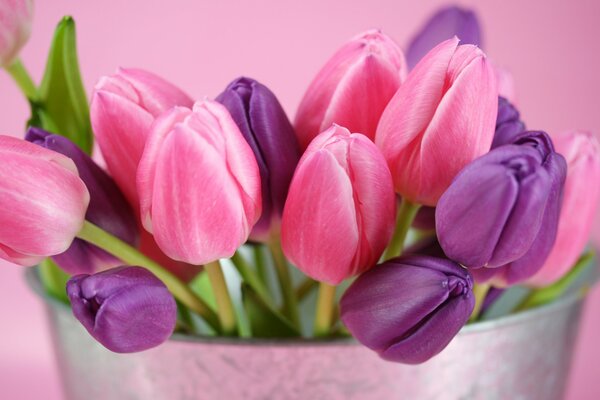 Nuances de rose dans les tulipes. Bourgeons dans le panier