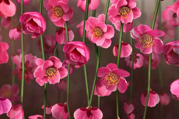 Image de fleurs roses sur de longues tiges