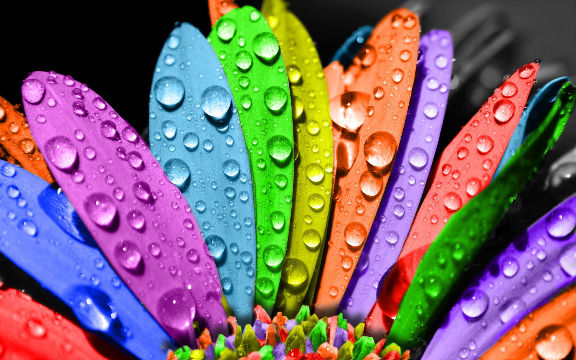 paleta colores gotas