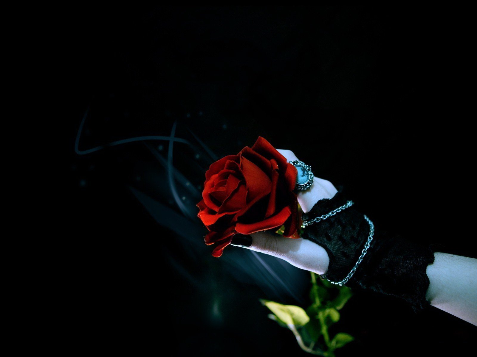 rose hand black background