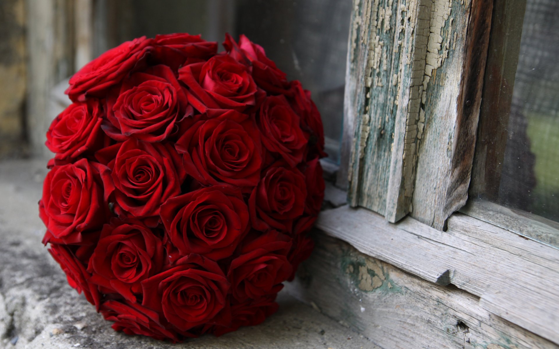 bouquet red roses window the window sill of the crack close up