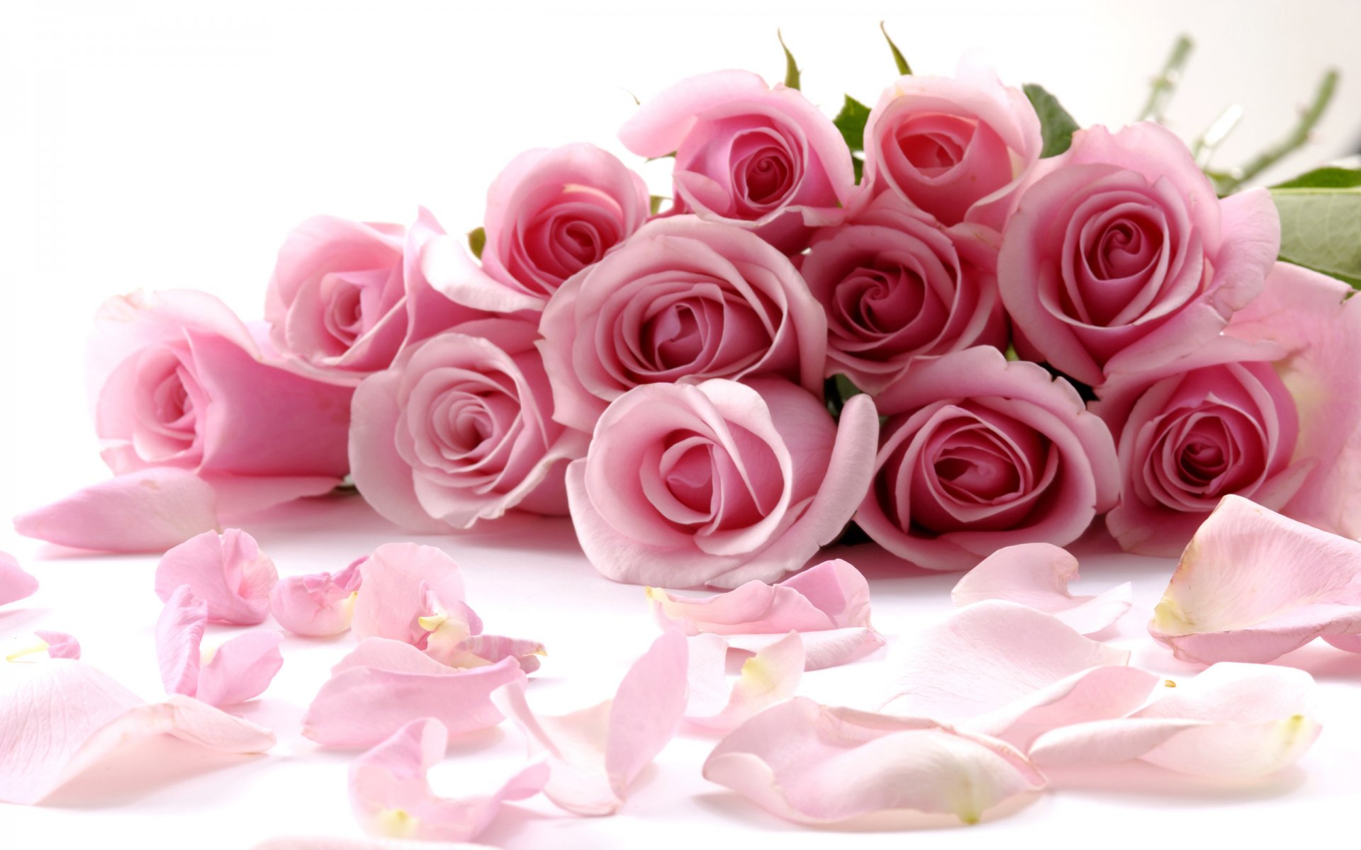 bouquet roses pink