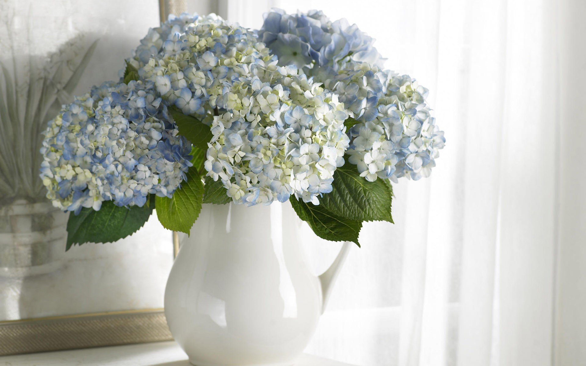 vase blumenstrauß blumen weiß blau malerei sauberkeit