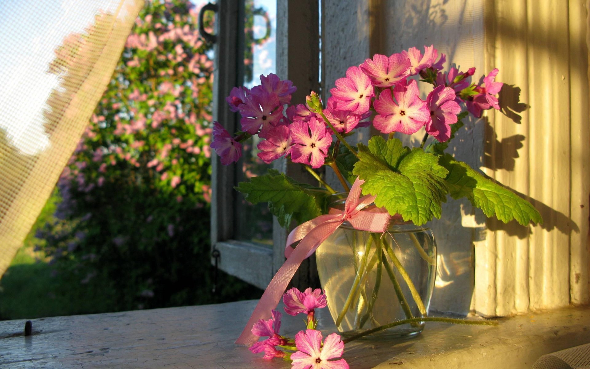 été fenêtre rideau vase fleurs