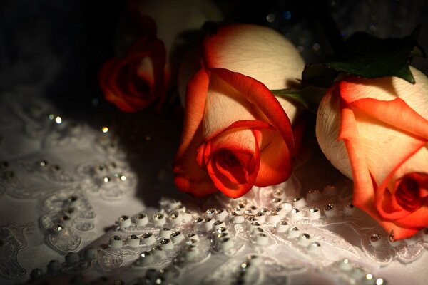 Belles roses sur la nappe avec strass