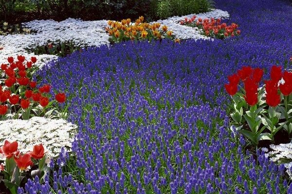 Hermosa cama de flores en el Jardín