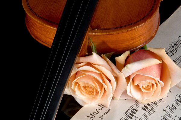 Schönes Foto von Violine , Rosen und Noten. Liebe zur Musik