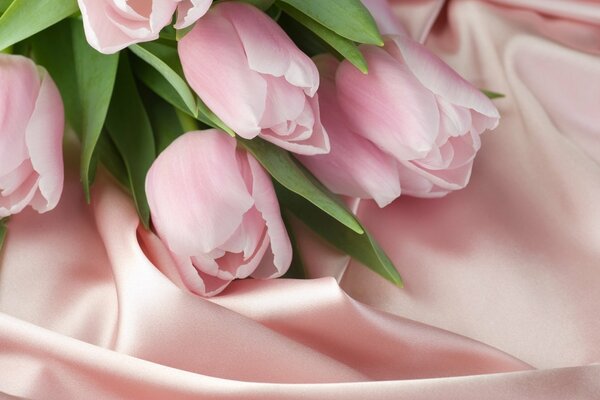 Tulipanes rosados con hojas verdes sobre fondo de tela de seda rosa