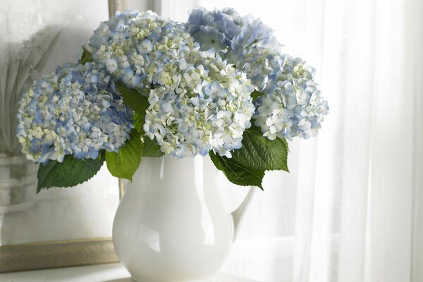 Vaso bianco con bouquet di ortensie