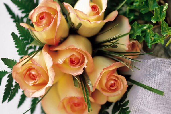 Macro shooting of a bouquet of roses