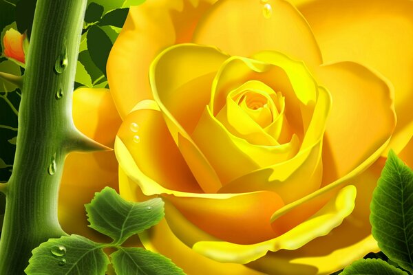 Image volumétrique d une rose jaune