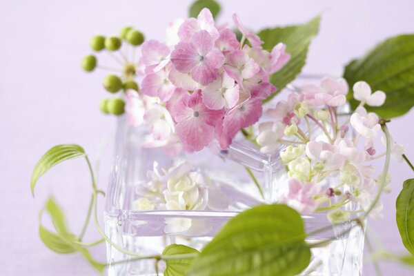 Fiori lilla in un vaso di vetro