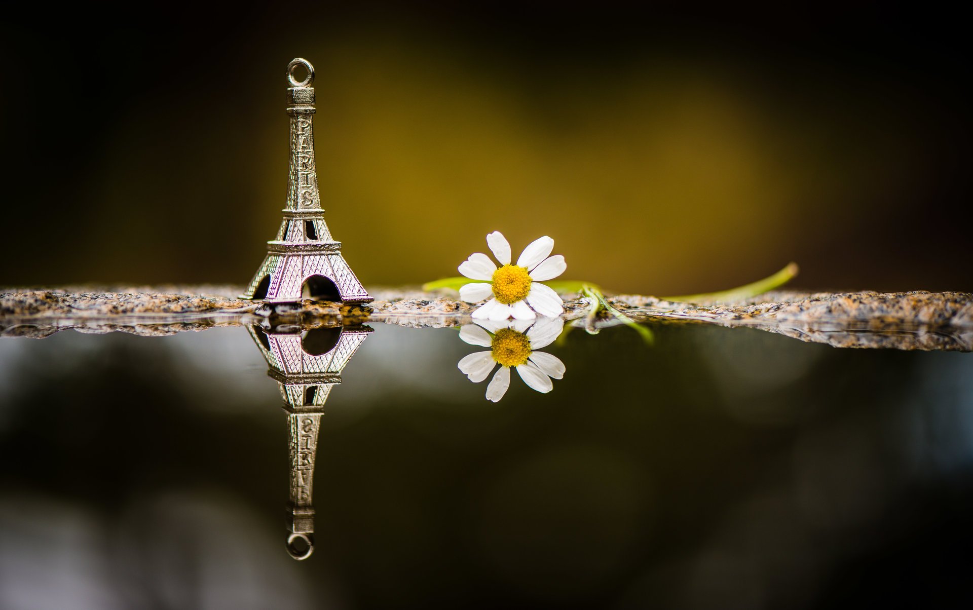 jamie frith photographer photo toys figurine eiffel tower . reflection close up shooting