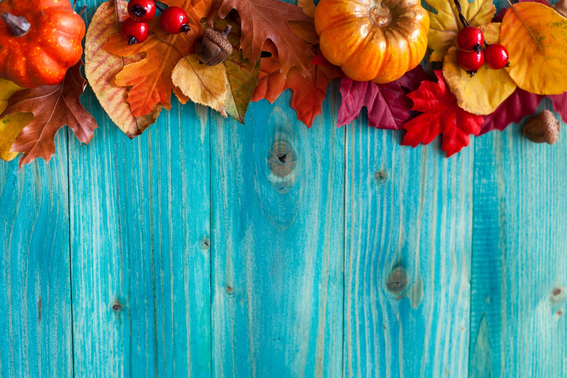 otoño hojas árbol cosecha bellotas bayas calabazas