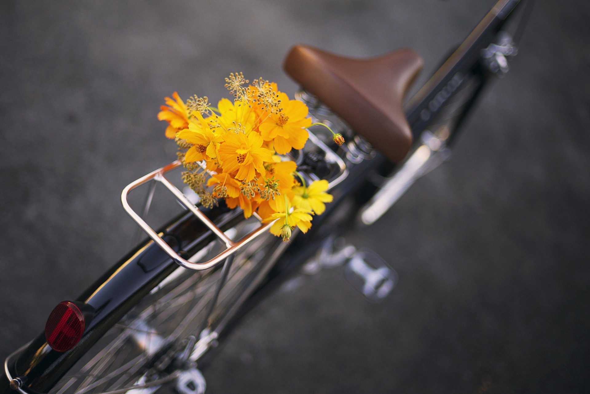 vélo fleurs bouquet