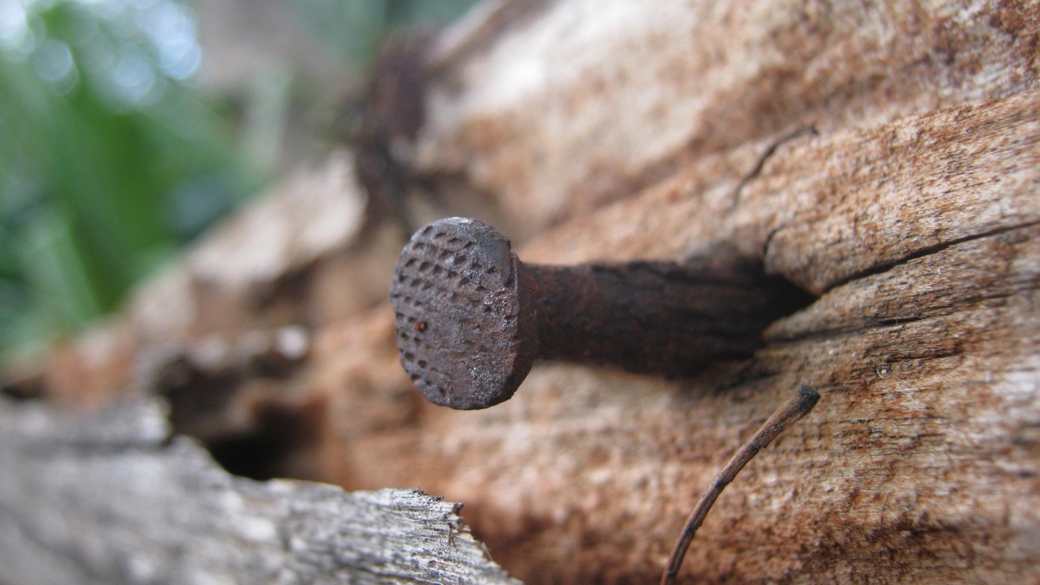 chiodo bordo macro