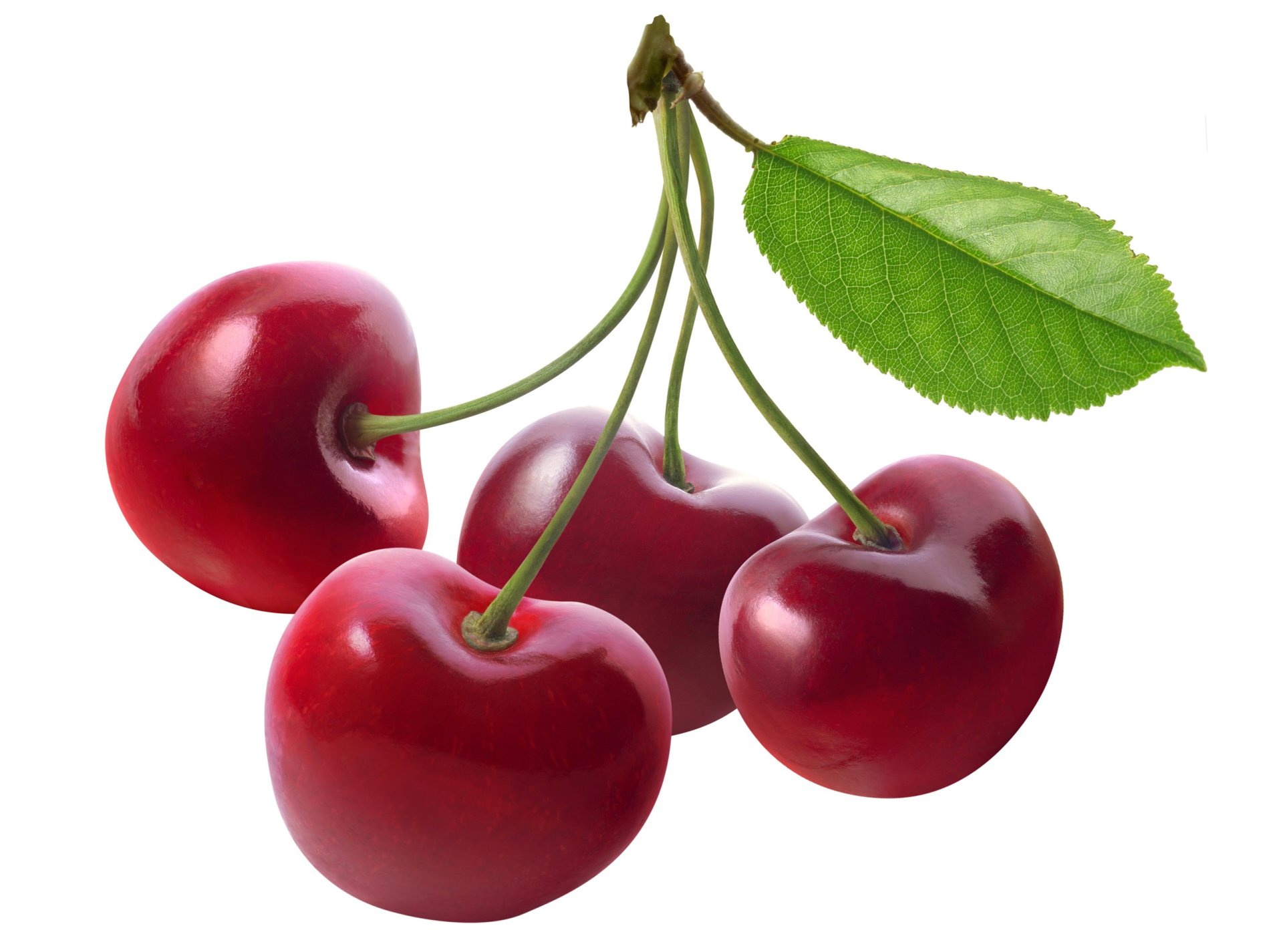 cherry cherry berry leaf food