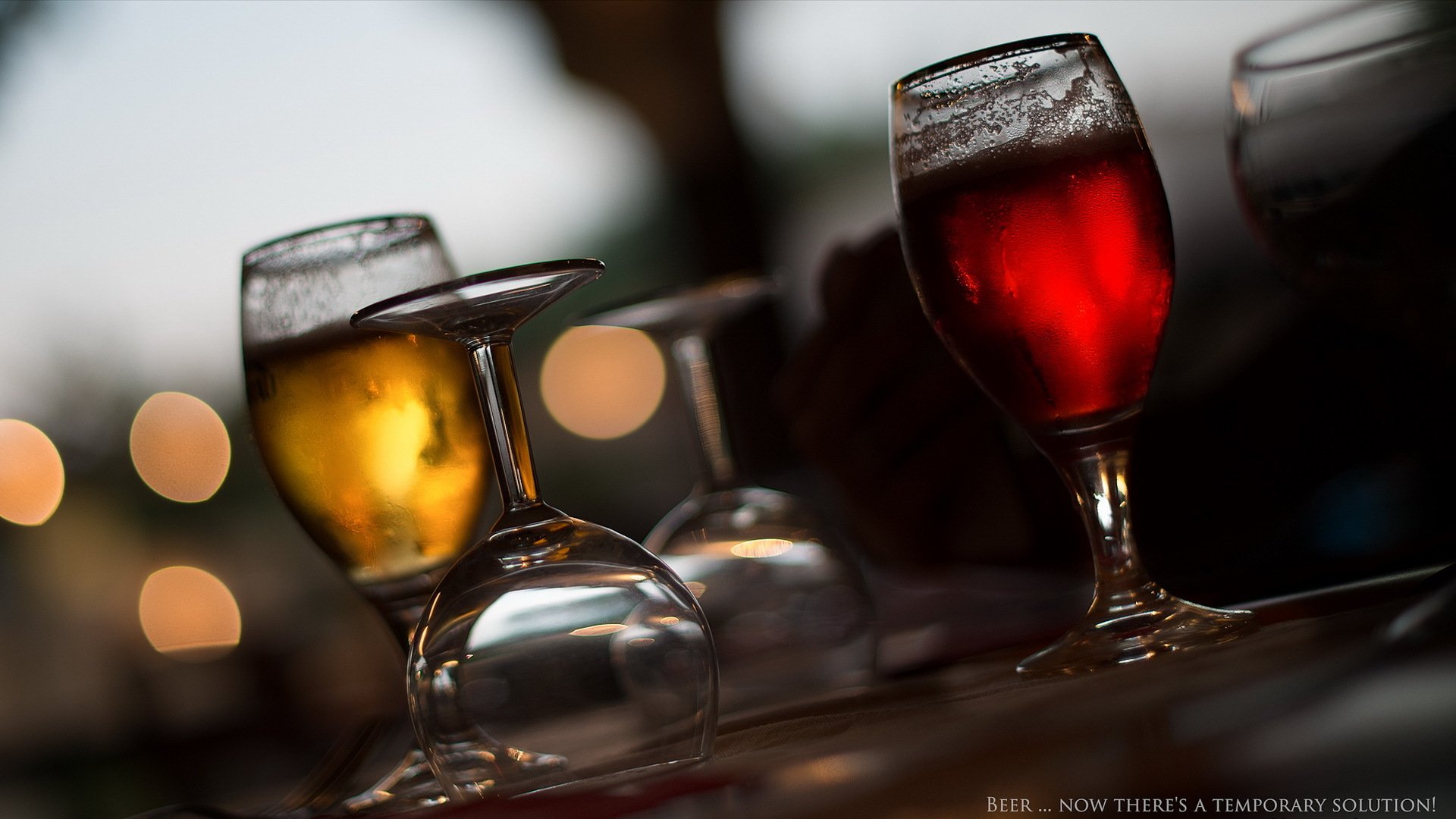 copas de vino bebidas macro