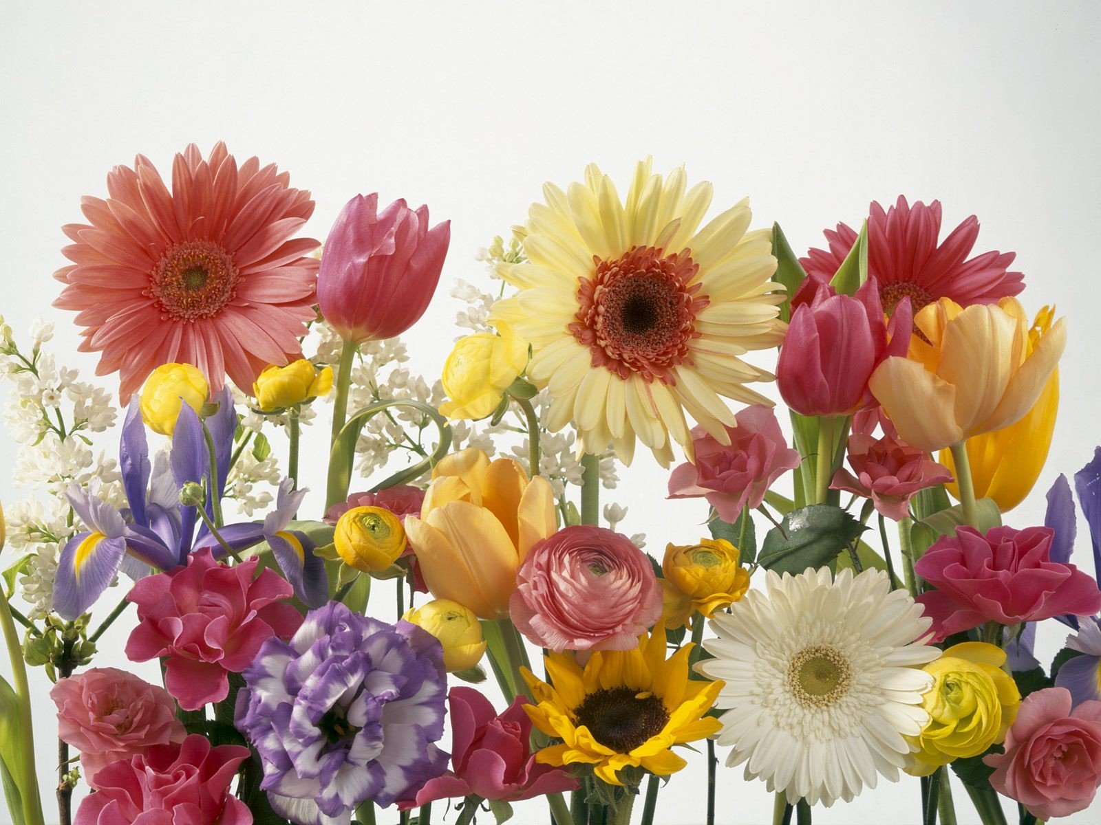 couleur bouquet