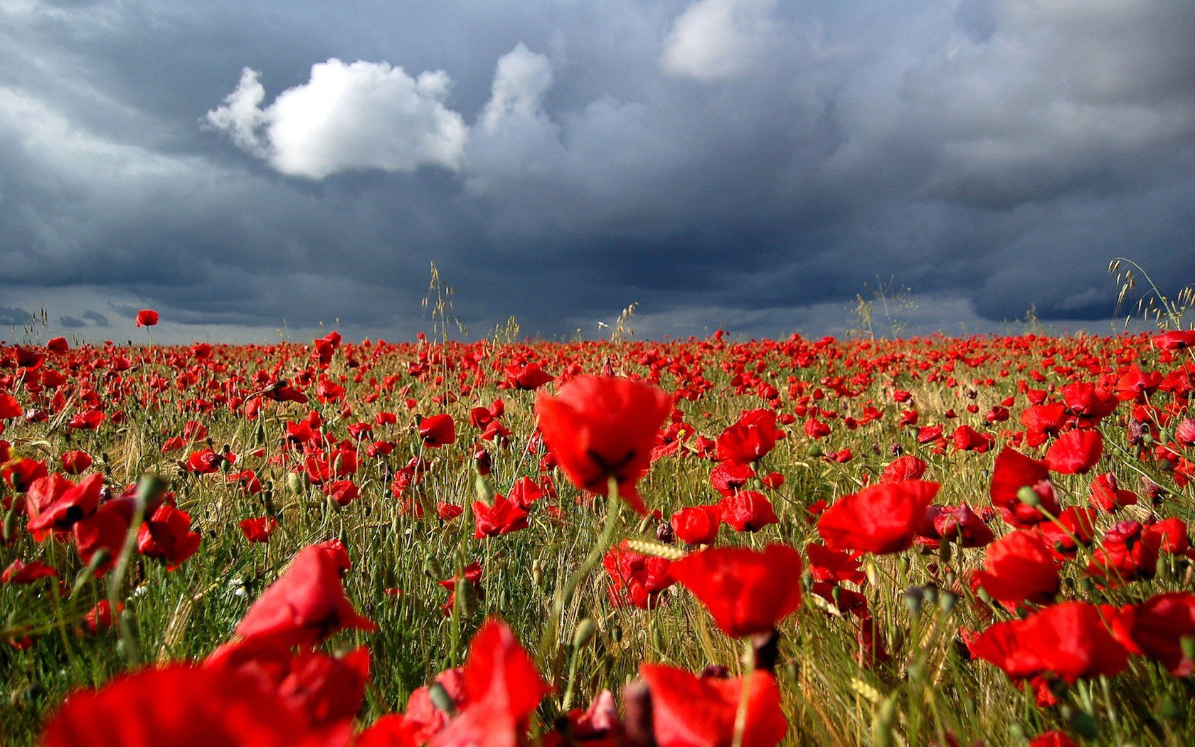 campo nubes tormenta rojo