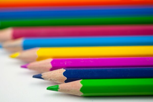 Lápices de colores sobre fondo blanco