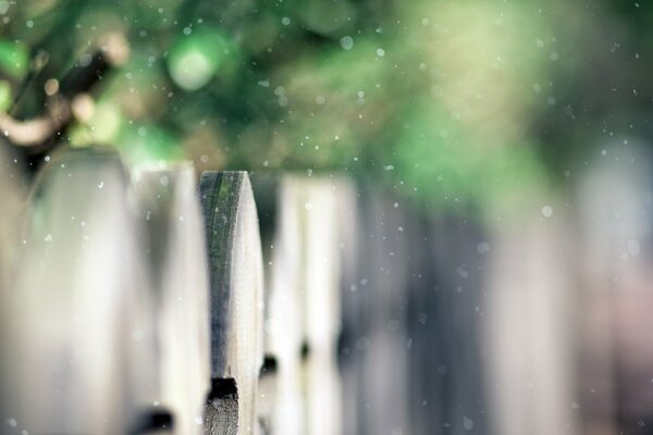 La primera nieve del año. Cambio de año