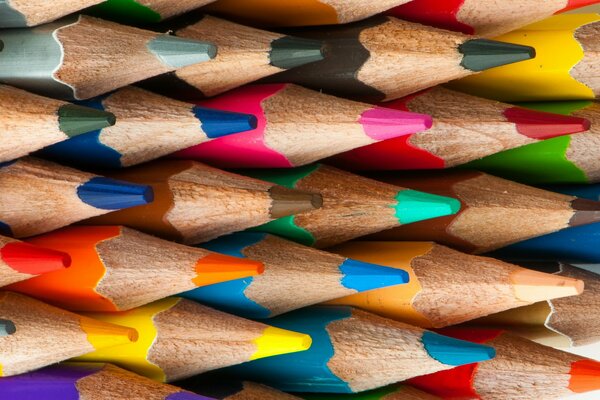 Lápices de colores de madera