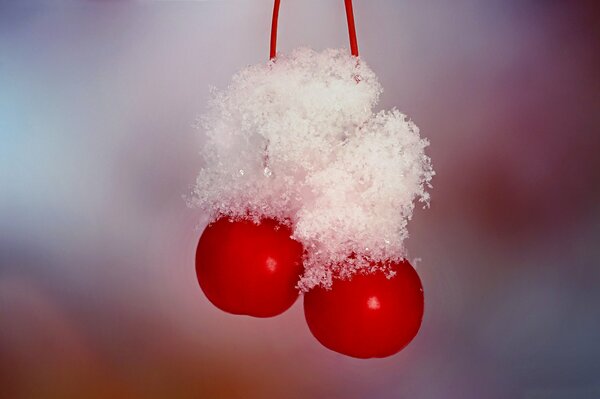 Dwie wiśnie w kryształach śniegu