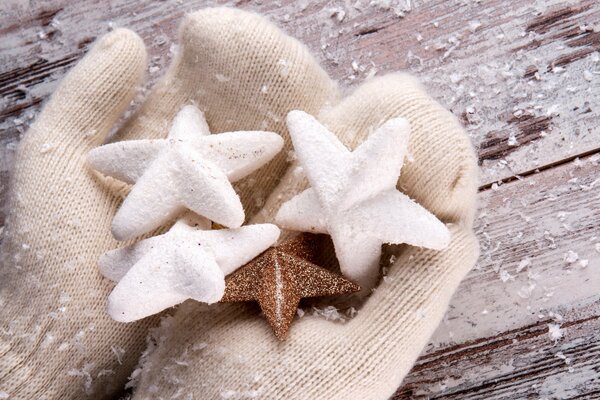 Winter fairy tale. Mittens with stars